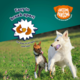 Awesome Pawsome Super Pumpkin Recipe Dog Treats