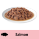 Dine Saucy Morsels With Salmon Wet Cat Food