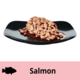 Dine Perfect Portions Cuts In Gravy With Salmon Wet Cat Food