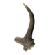 Platinum Ranch Assorted Deer Antler Dog Chew