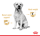 Royal Canin Labrador Retriever Gravy Wet Food