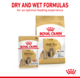 Royal Canin Shih Tzu Loaf Adult Wet Dog Food