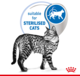 Royal Canin Indoor Gravy Wet Cat Food