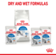 Royal Canin Indoor Gravy Wet Cat Food
