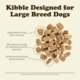 Now Fresh Grain Free Adult Large Breed Dry Dog Food