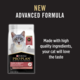 Pro Plan Fussy & Beauty Salmon Dry Cat Food
