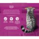Whiskas Mixed Favourites in Jelly Senior Wet Cat Food