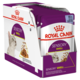 Royal Canin Sensory Smell in Jelly Wet Cat Food