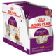 Royal Canin Sensory Taste in Gravy Wet Cat Food