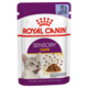 Royal Canin Sensory Taste in Jelly Wet Cat Food