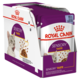 Royal Canin Sensory Taste in Jelly Wet Cat Food