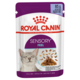 Royal Canin Sensory Feel in Jelly Wet Cat Food