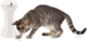 PetSafe FroliCat Automatic Multi-Laser Cat Toy