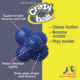 Nylabone Power Play Crazy Ball Dog Toy