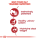 Royal Canin Instinctive Adult Loaf Wet Cat Food