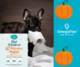 OmegaFlex Cat & Dog Pumpkin Powder