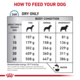 Royal Canin Vet Anallergenic Dry Dog Food