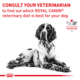 Royal Canin Vet Anallergenic Dry Dog Food