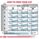 Royal Canin Vet Skin & Coat Dry Cat Food