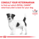 Royal Canin Vet Skintopic Small Dog Dry Dog Food