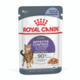 Royal Canin Appetite Control Jelly Adult Wet Cat Food
