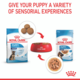Royal Canin Maxi Puppy Gravy Wet Dog Food