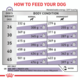 Royal Canin Vet Neutered Adult Large Dry Dog Food