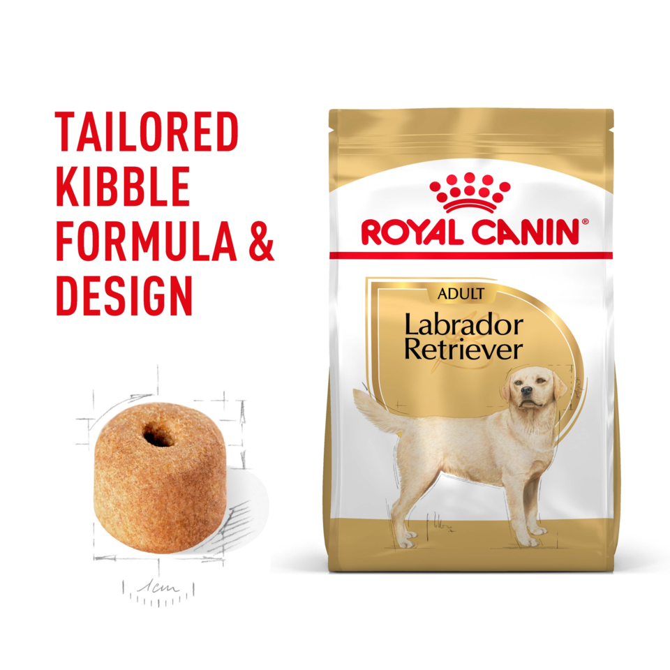 Golden Retriever Royal Canin Vets Friends Royal Canin Golden