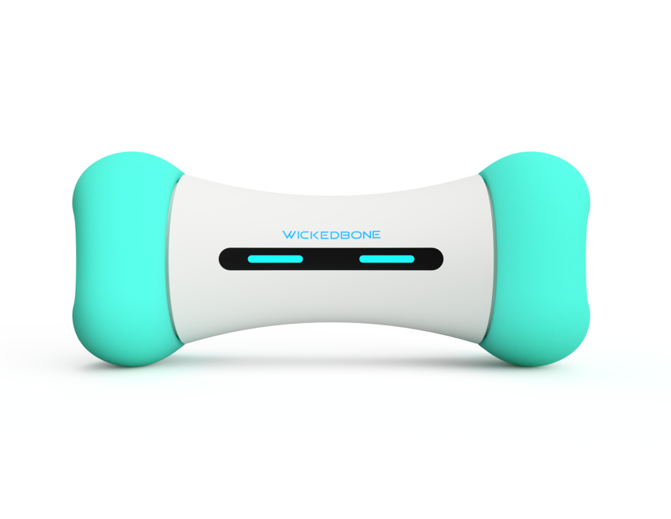 Cheerble Wicked SE Smart Dog Bone Toy Petdirect