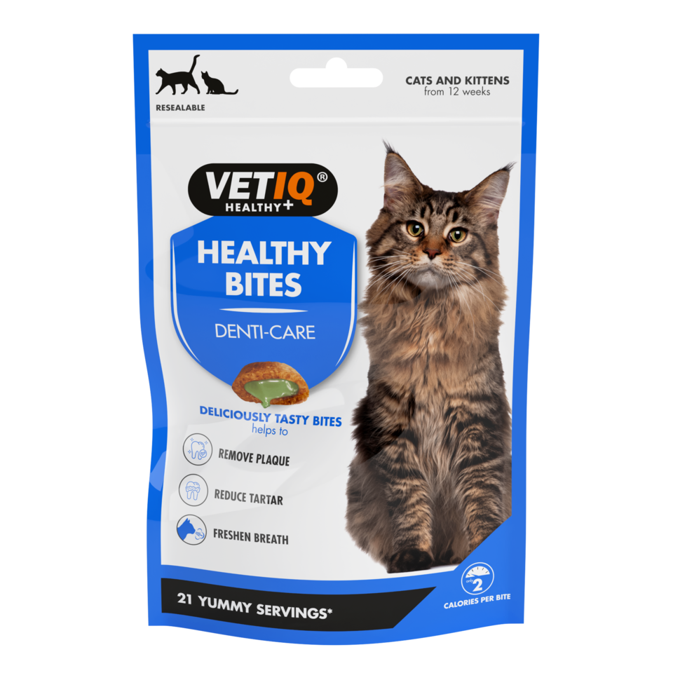 Healthy cat biscuits sale