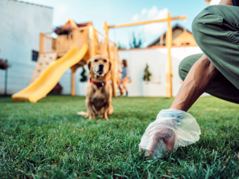 Best Dog Poop Bags in New Zealand