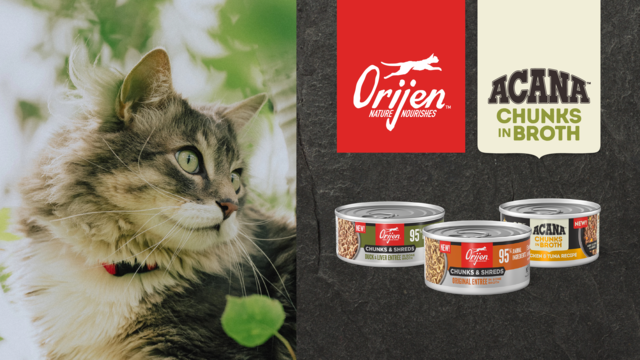 ACANA and ORIJEN Wet Cat Food Has Arrived: Everything NZ Cat Owners Need to Know