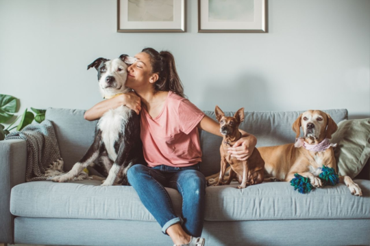 Creating Harmony In Multi-Pet Homes