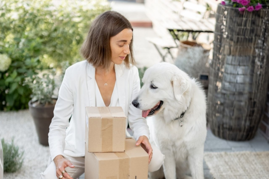 Pet Food Delivery NZ: Everything You Need to Know