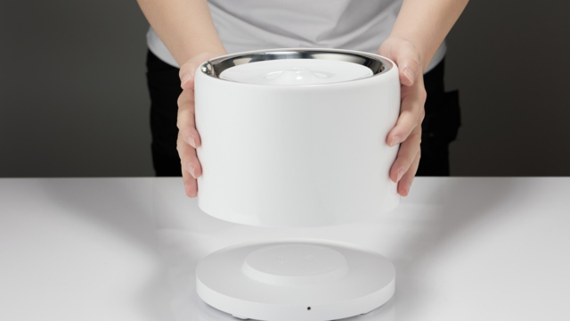 How to Clean a Pet Water Fountain