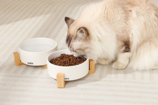 M-PETS Great Value Pet Accessories for Kiwi Homes | Petdirect