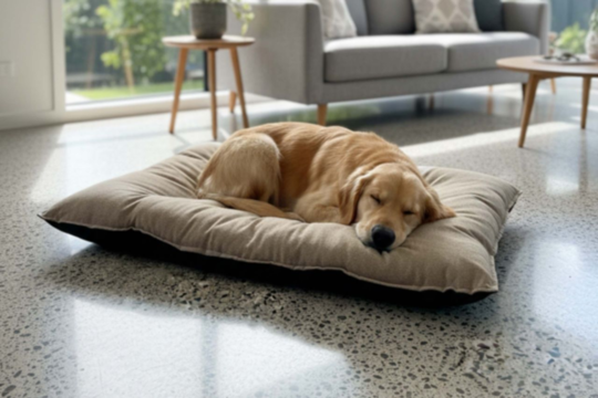 Great Value Pet Supplies NZ | Petdirect Great Value Brands
