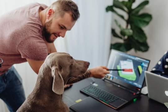 Benefits of Bringing Your Dog to Work for Mood, Productivity and Wellbeing