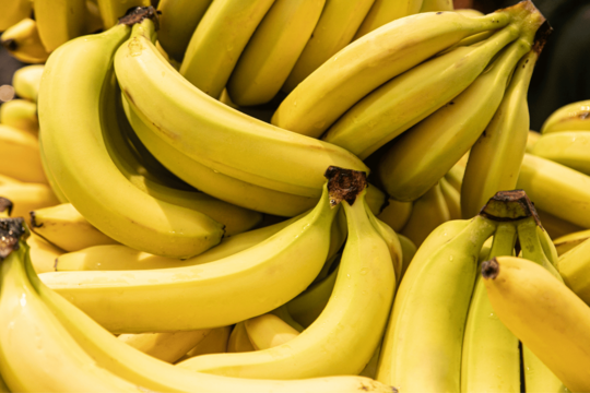 Can Dogs Eat Bananas? What NZ Owners Need to Know