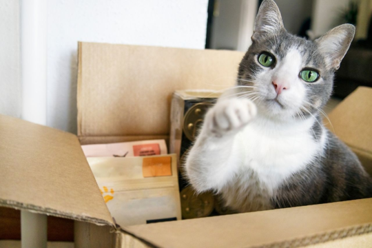 Autodeliver vs One-Off Orders: Which Saves You More?