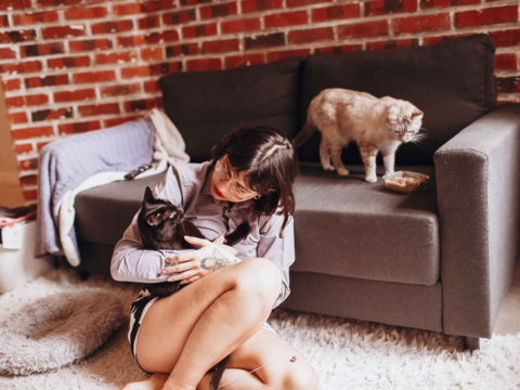 How to Spot and Manage Pet Jealousy: Tips for a Happy, Calm Home
