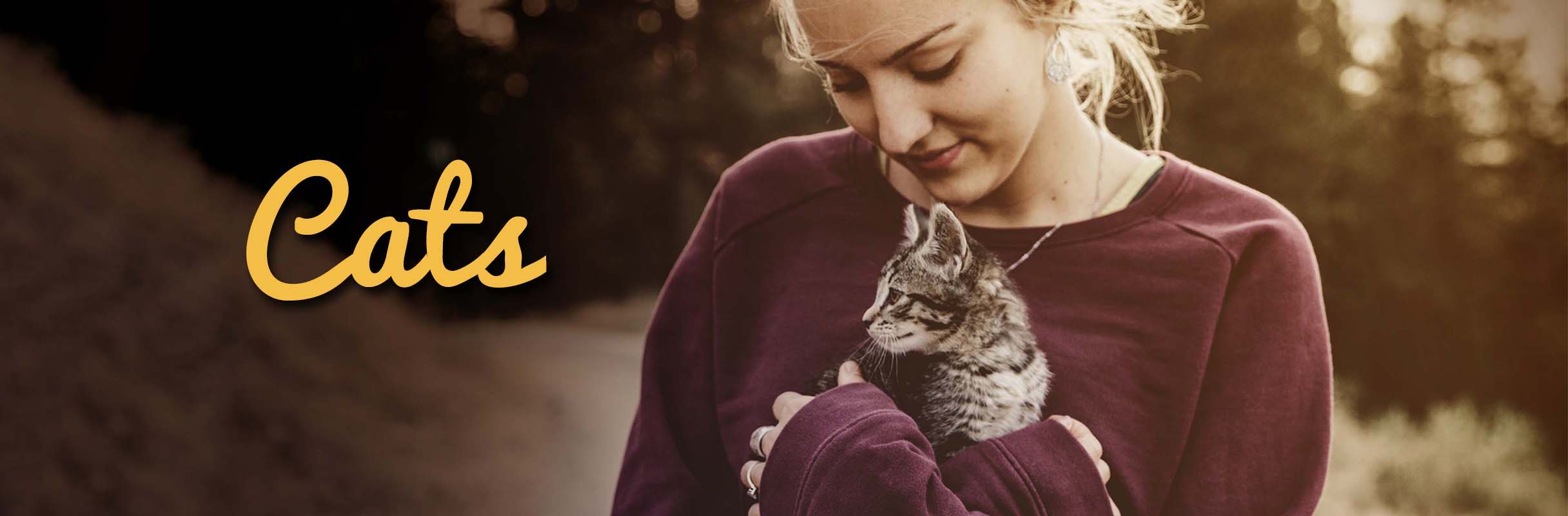 Shop Wishbone Cat Food