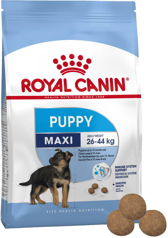 Royal Canin Maxi Puppy Kibble