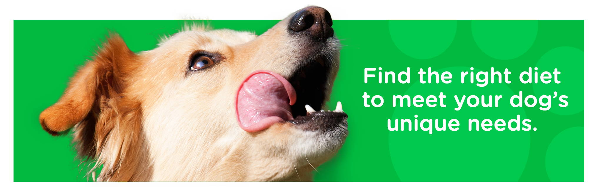 Find the right diet to meet your dog's unique needs.