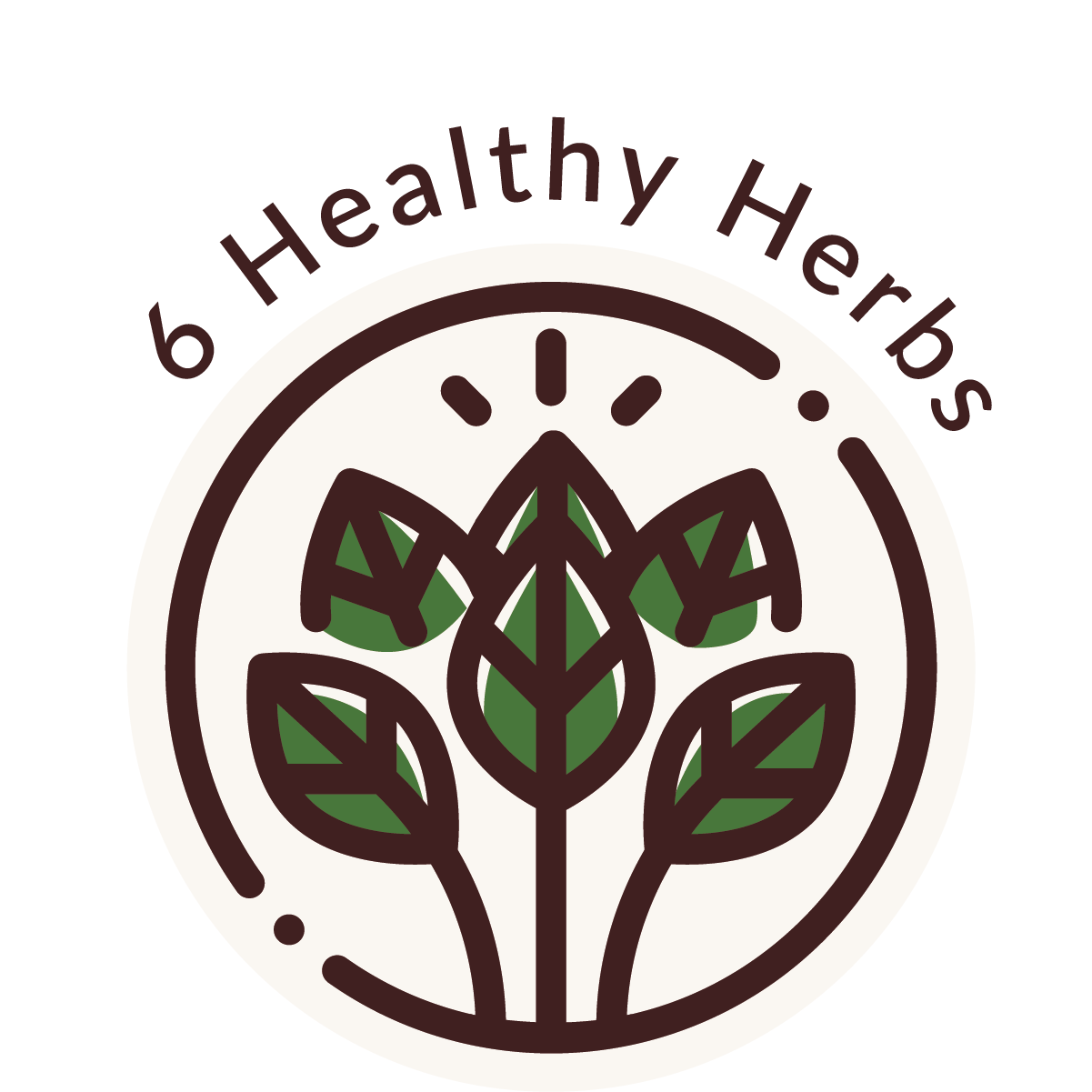 6 healthy herbs