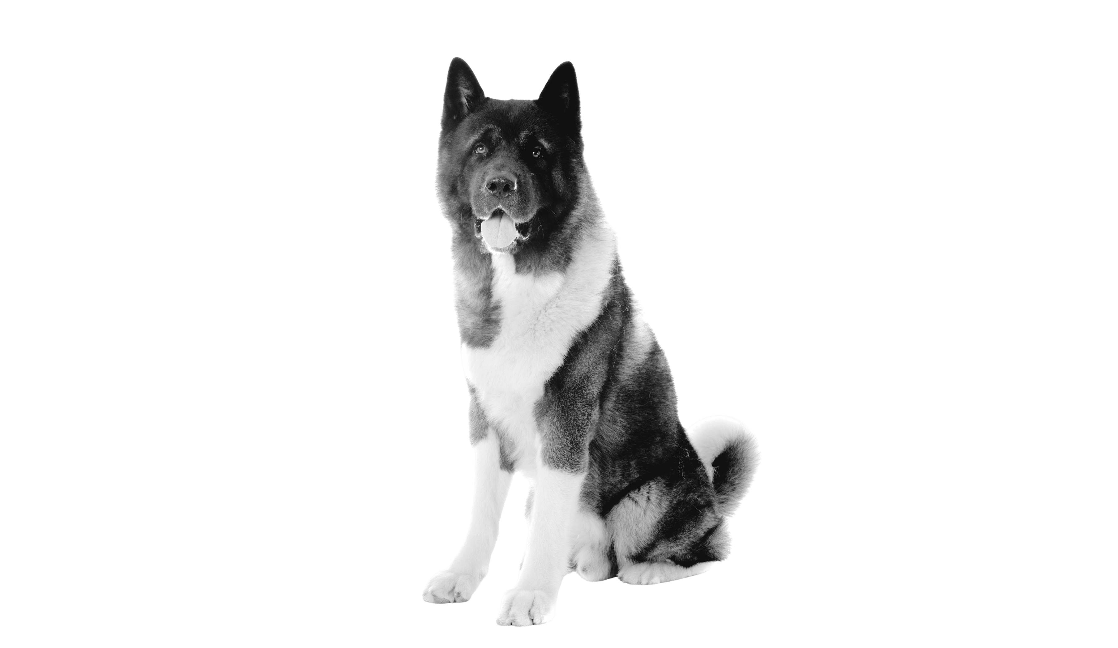 Desktop Image