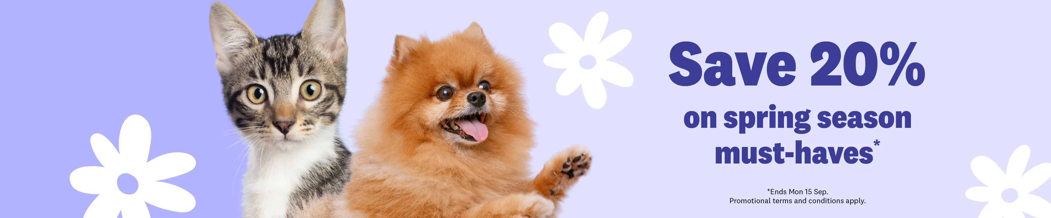 Desktop Image