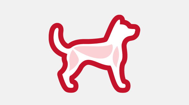 High-quality protein