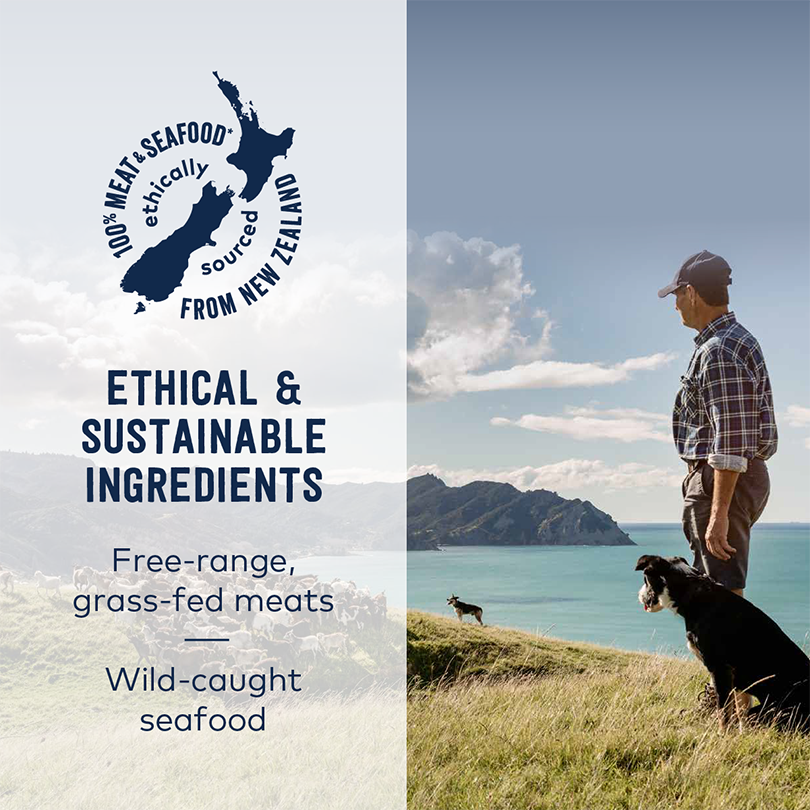 Ethical & Sustainable Ingredients