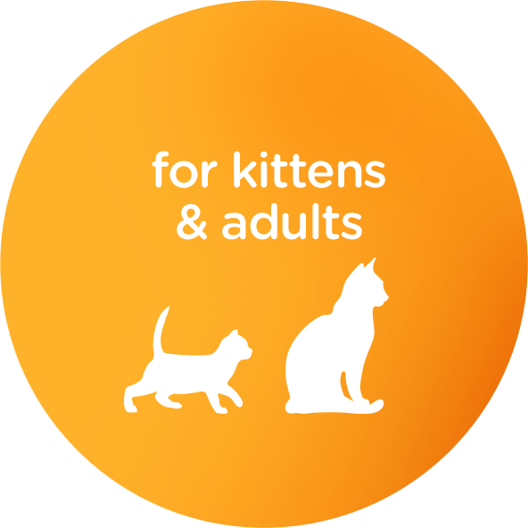 for kittens & adults